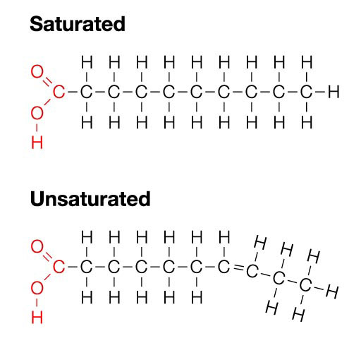 Saturated Fat Vs Unsaturated 120