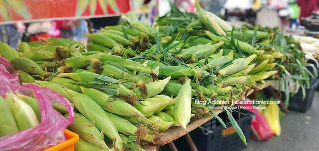 Holiday Cameron Highlands | Pasar Malam Di Jalan Golden Hills, Sg Ruil