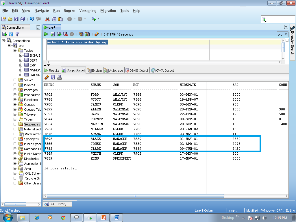 Переменные oracle sql. Oracle sql developer. oracle sql. сохранение полученного результата в developer sql.