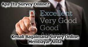 Apa Itu Survey Online? Silahkan Baca Disini!