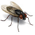 Fly Protection