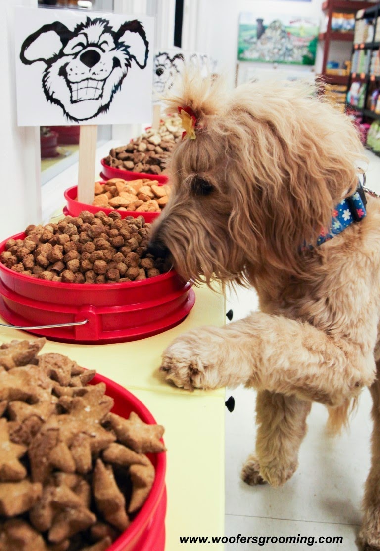 Woofers Dog Grooming