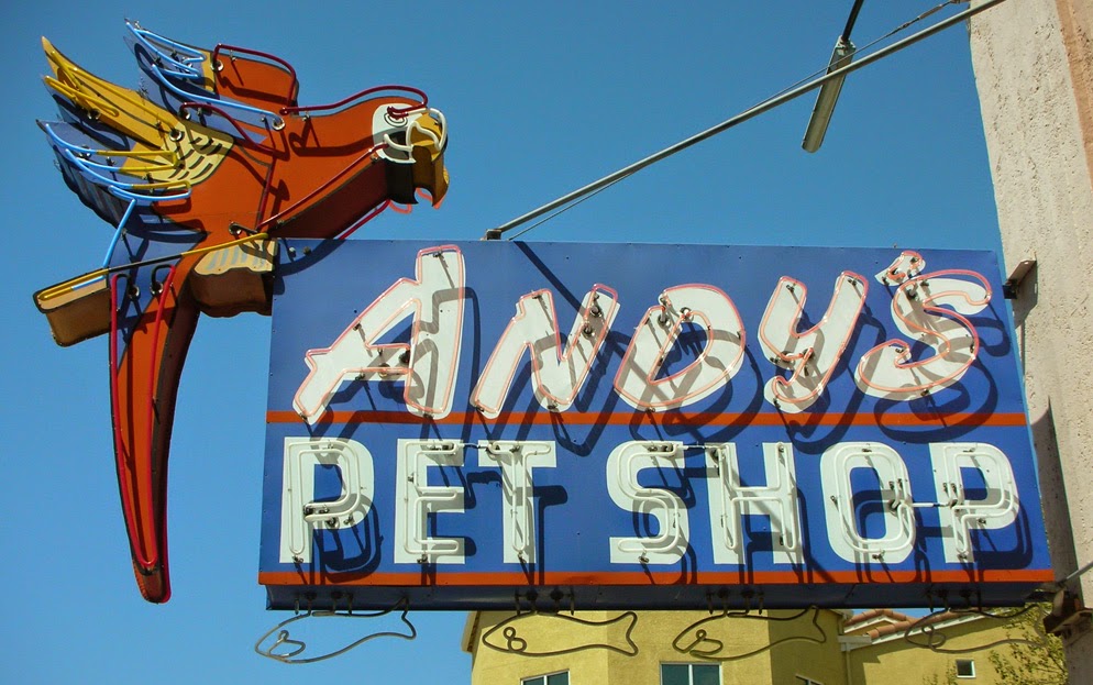 Forestdweller Andy's Pet Shop