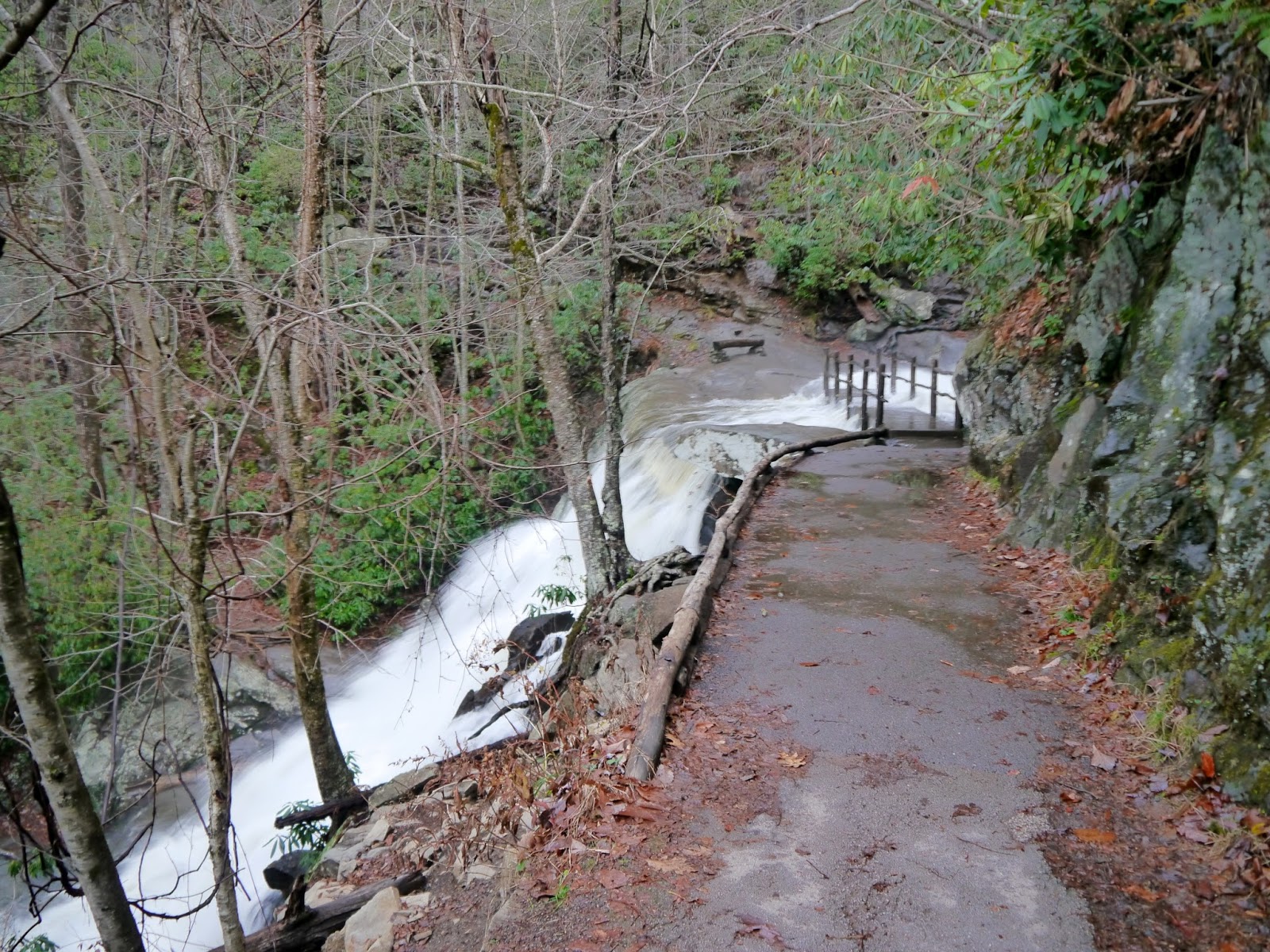 American Travel Journal Laurel Falls Trail Great Smoky Mountains