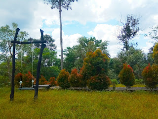 Spot Foto Menarik di Kebun Raya Balikpapan