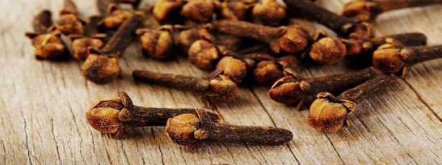 Tintura Di Chiodi Di Garofano Glialchimisti Com