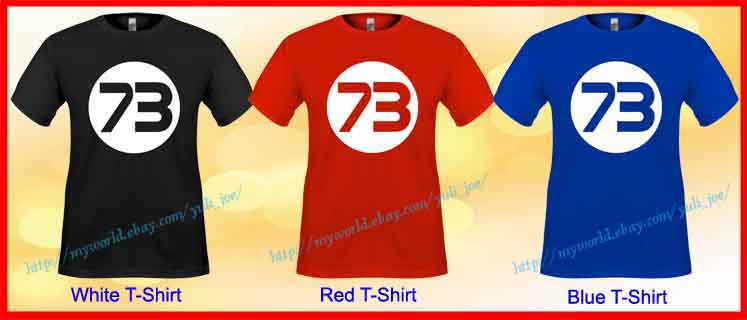 The Big Bang Theory Sheldon Cooper Number 73 Bazinga Logo Symbol TV Tee T Shirt
