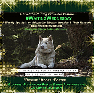 host of #WaitingWednesday Blog Hop!