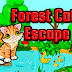Forest Cat Escape