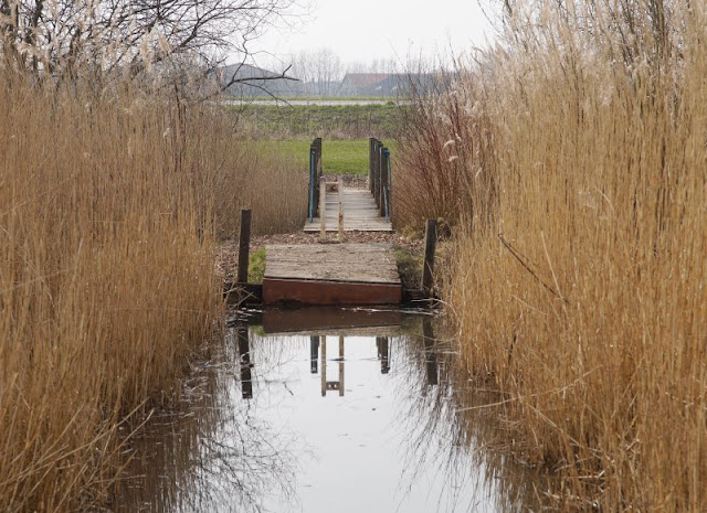 Kinder brauchen Abenteuer! Zwei spannende Abenteuer-Spielplätze in der näheren Umgebung von Kiel. Auf dem Kinderabenteuerland Wendtorf in der näheren Umgebung Kiels kann man sich mit dem Floß übers Wasser ziehen.