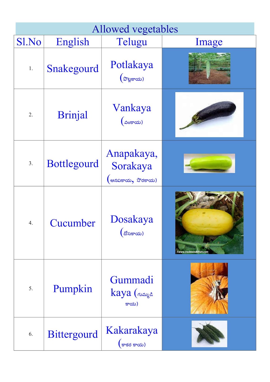 Veeramachaneni Ramakrishna Diet Chart