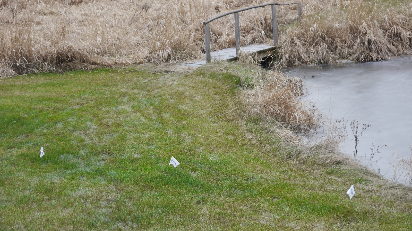 NoNewsFromHere THE INVISIBLE FENCE