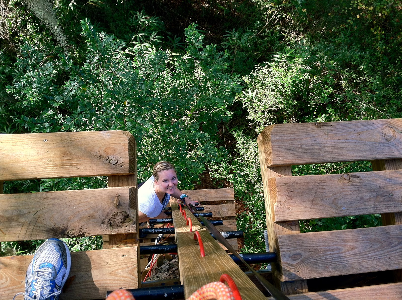 The TreetoTree Adventure at Tallahassee Museum The World of Deej