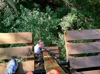Tallahassee Museum Tree-to-Tree Adventure Zipline