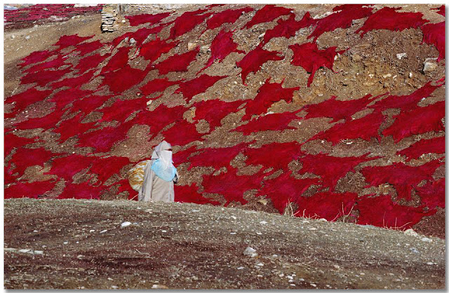© Bruno Barbey - MARRUECOS. Fez. Pieles secándose al sol cerca del barrio de curtidores. 1984.