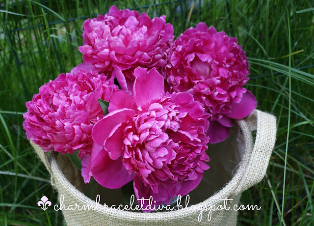 bouquet of pink peonies in a burlap bushel basket