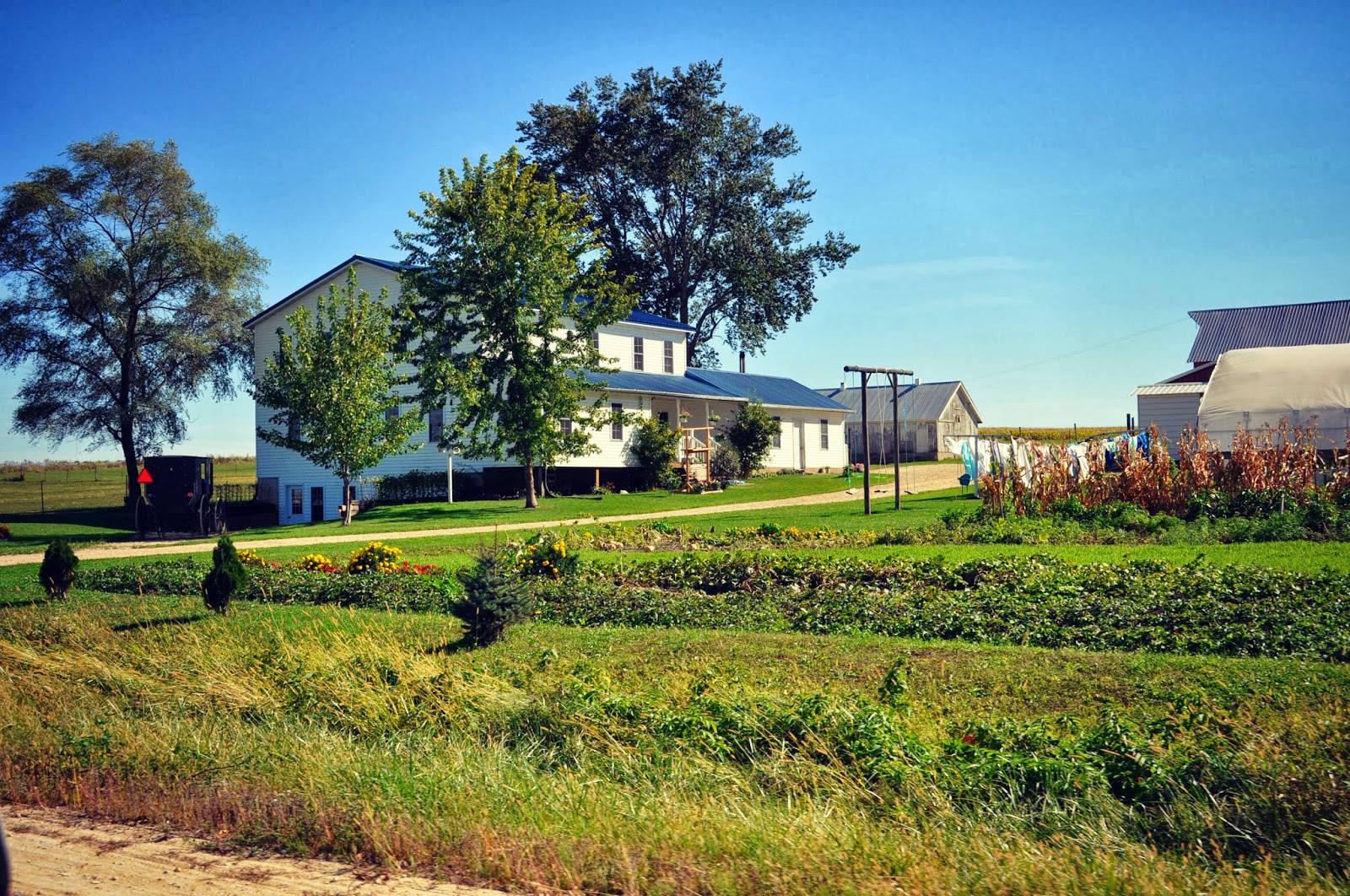 {Our Little} Family {Iowa Trip} Amish Visit