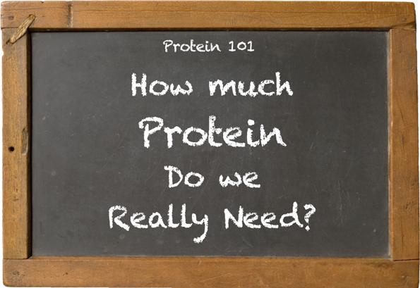 How Much Protein Should I Take? - Body Building Body Builder