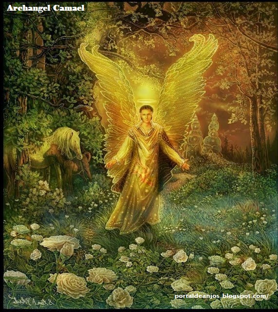 Portal de Anjos ‘ANJOS NA VIDA DIÁRIA DE VOCÊ!’ ('‘The Angel Bible