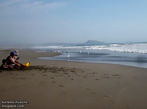 Playas de Vegueta, Huaura