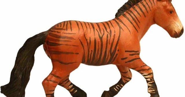 Zorse For Sale >> Flame24soul Blogspot Com Zorse Zebroid Zorses A Zebra Horse Zorse For Sale >> Flame24soul Blogspot Com Zorse Zebroid Zorses A Zebra Horse