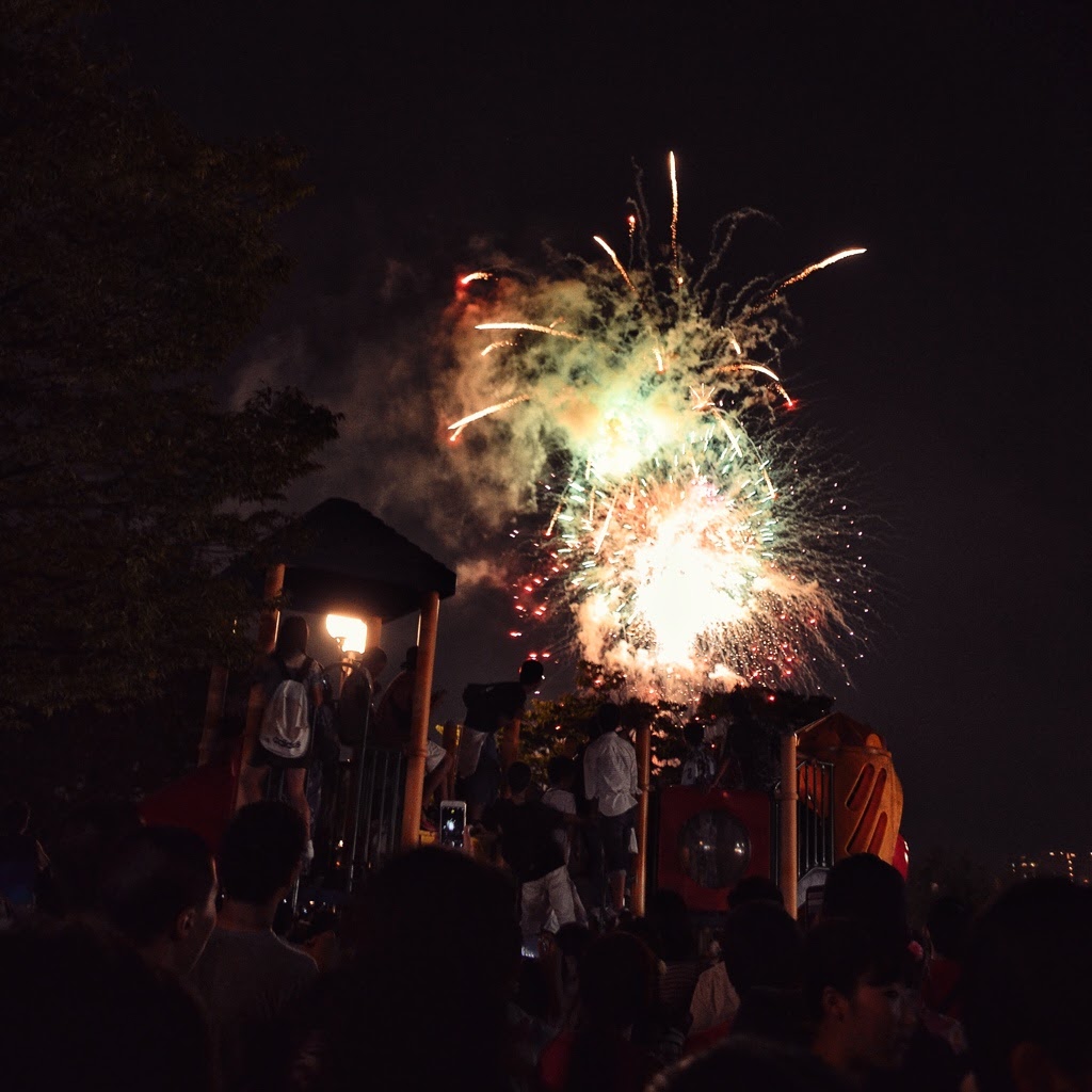 大濠公園花火大会16 Ohorikoen Fireworks 16 Portal Bj