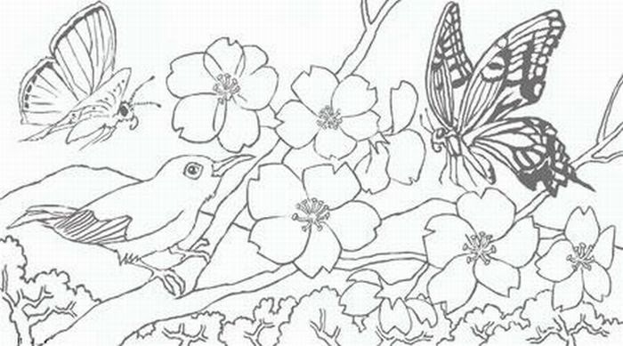 Fise, planse de colorat flori de primavara