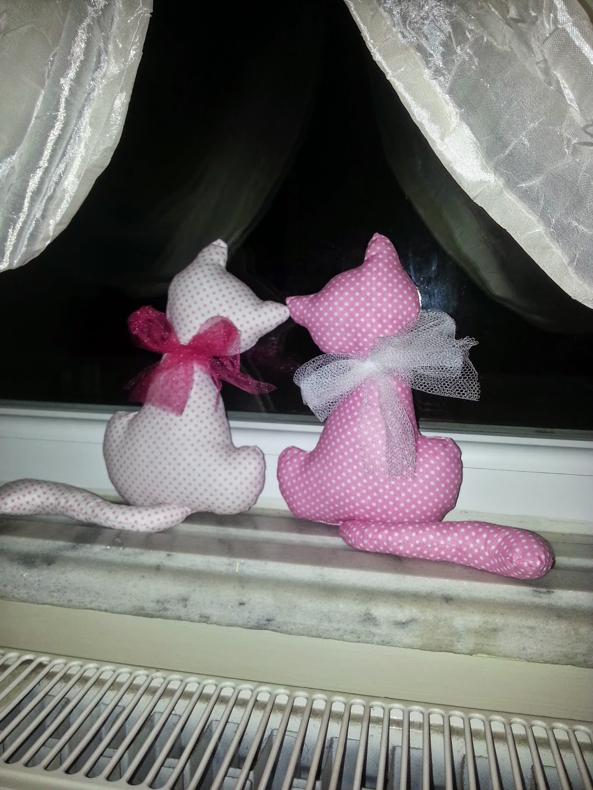 hobişko camdan bakan kedi