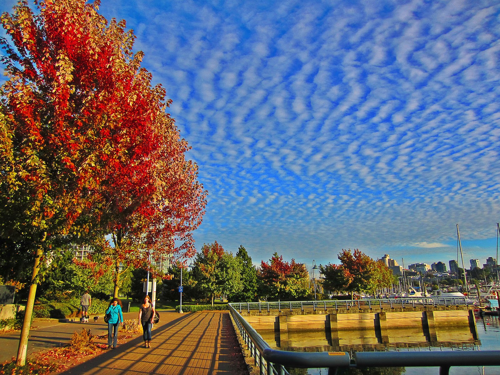 Ex Bayern Star Thomas Müller: Was Er Bei Vancouver Wirklich Verdienen Wird! - youg6k5