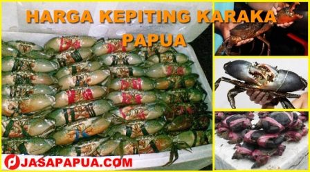 HARGA KEPITING KARAKA PAPUA HARGA KEPITING KARAKA PAPUA