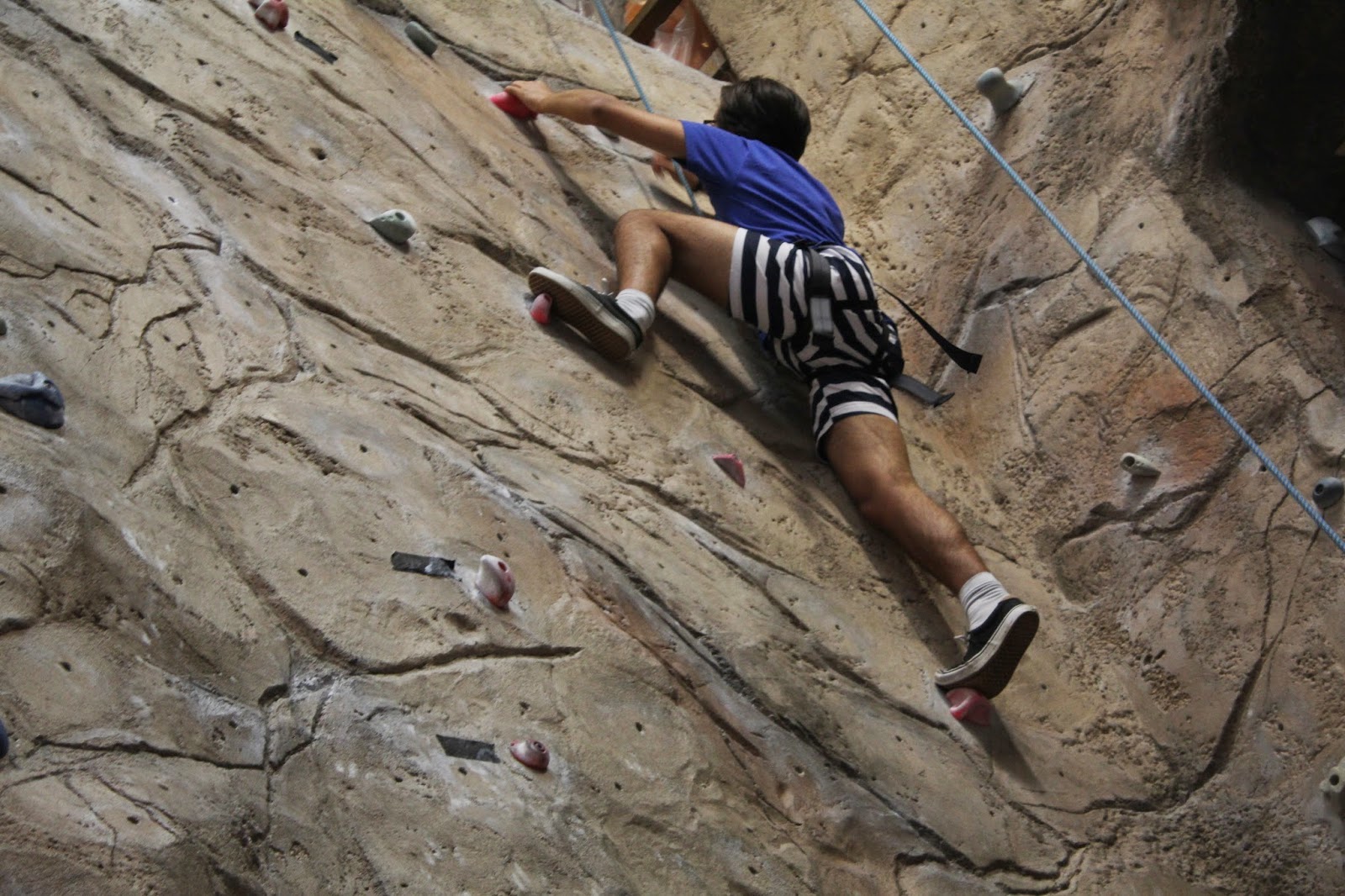 Middle Earth Madness Climbing in Wellington at Ferg's