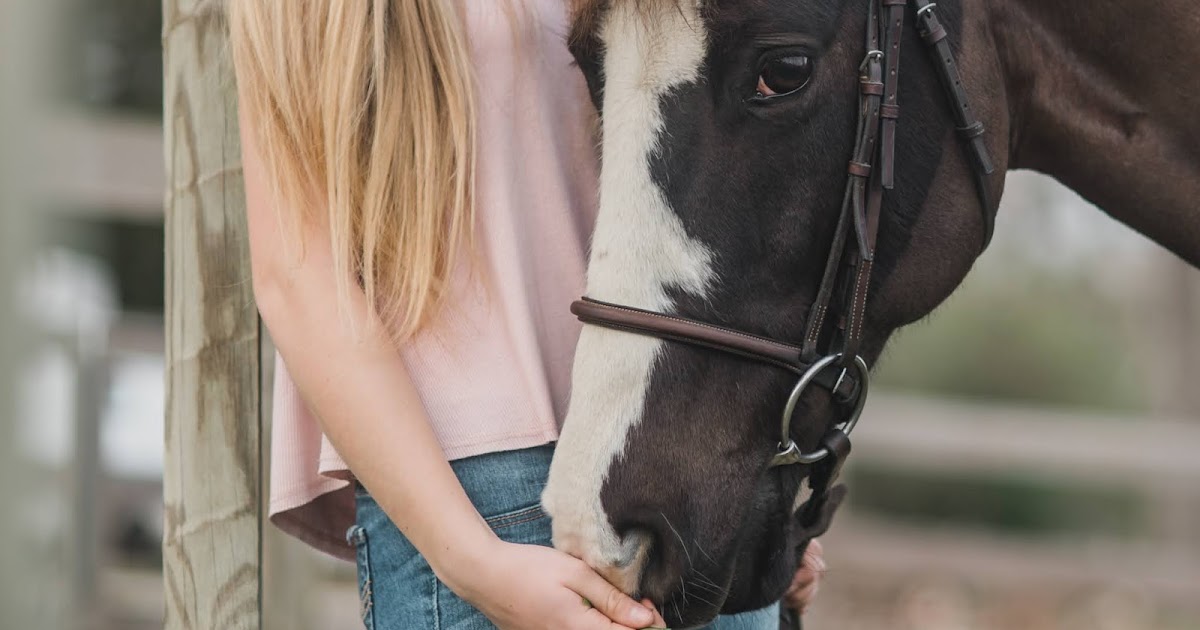 "Hitch horses together" nghĩa là gì?
