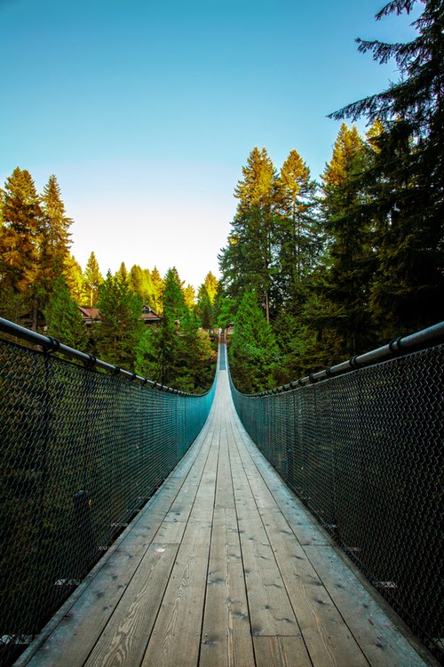 Capilano Suspension Bridge, Vancouver, British Columbia Suspansion Bridge View