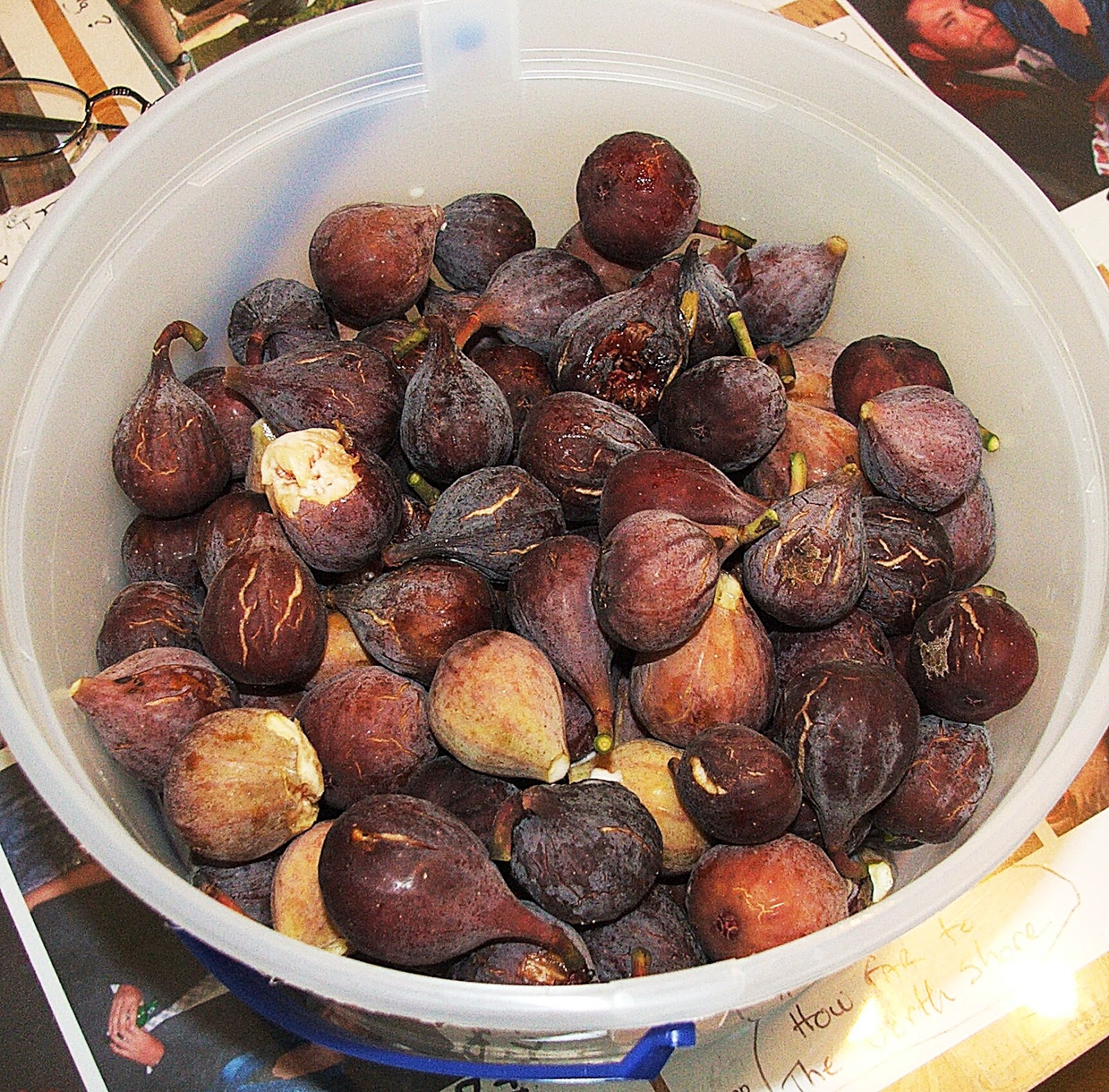 Ça C'est Bon . . . Louisiana Fig Season