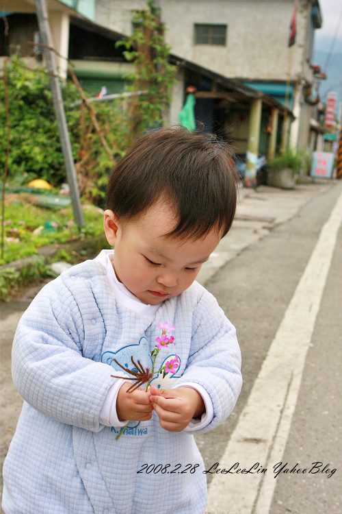 豐田移民村