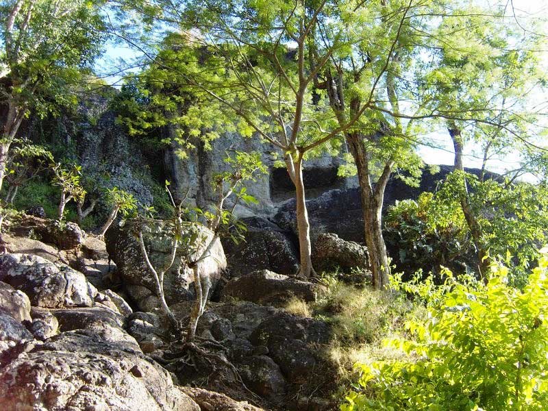 Goa Unik Tulungagung - Wisata Asyik Tulungagung