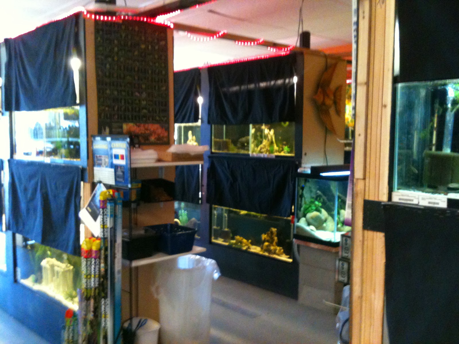 Finatics Tropical Fish Views of the New Shop
