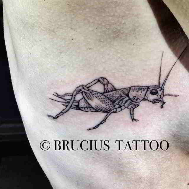 tatuajes de animales que traen buena suerte