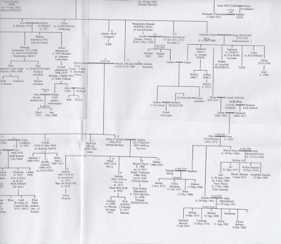 Neil Rosenstein: The Ancestry of Mavis nee Naumann