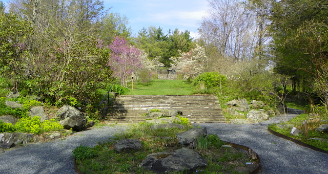 Wedding Venues Boone Nc Daniel Boone Native Gardens Wedding Venues Boone Nc Daniel Boone Native Gardens