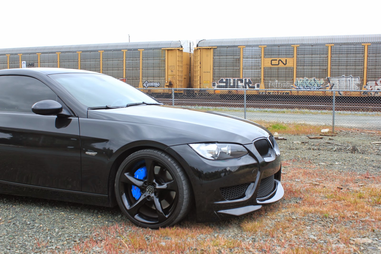 Blue bmw brake calipers #7