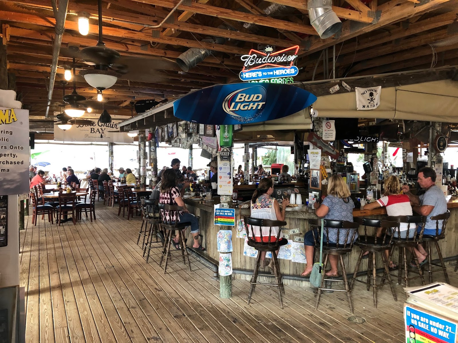 IS THAT THE CAT THAT CHEWED YOUR NEW SHOES?