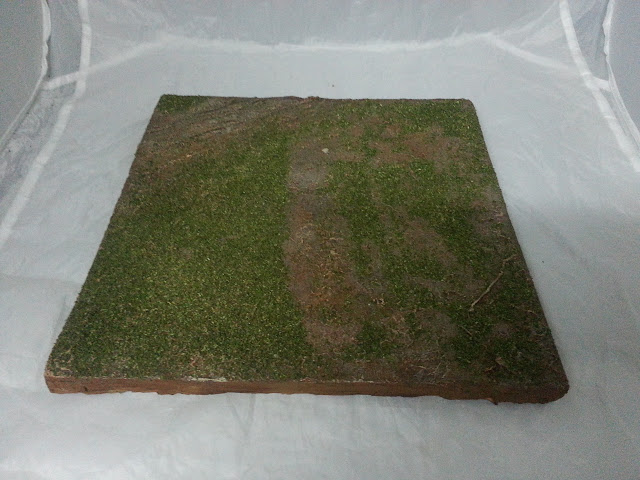 Diorama Boulton Paul Défiant D'Airfix au 1/48. Réalisation du diorama "R.A.F WWII" mettant en scène un Boulton Paul Défiant D'Airfix.