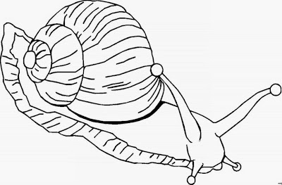 La Chachipedia: Caracoles para colorear