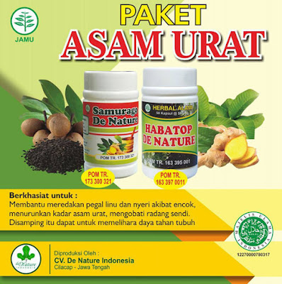 Obat Asam Urat 