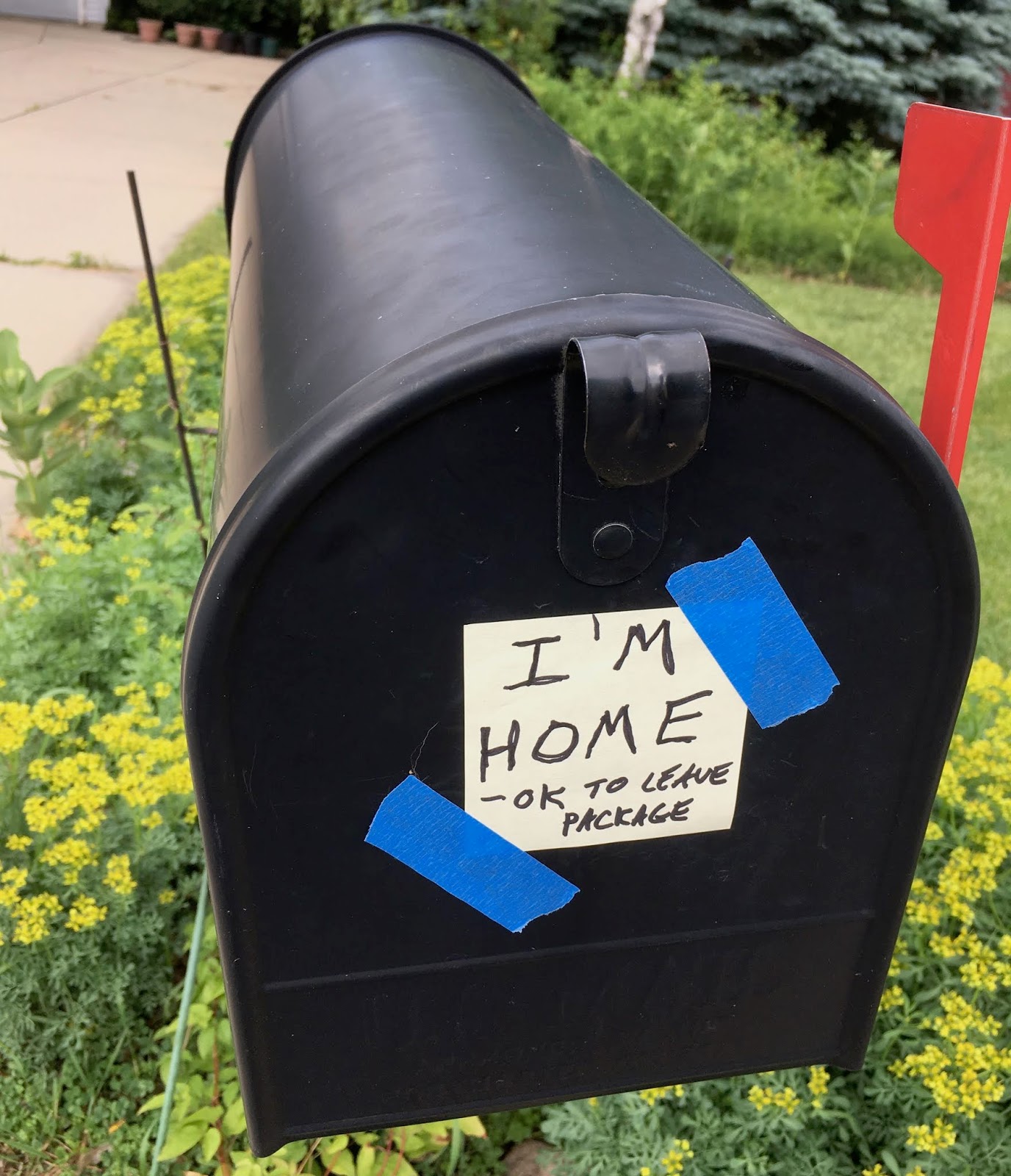 mr postman vine old man