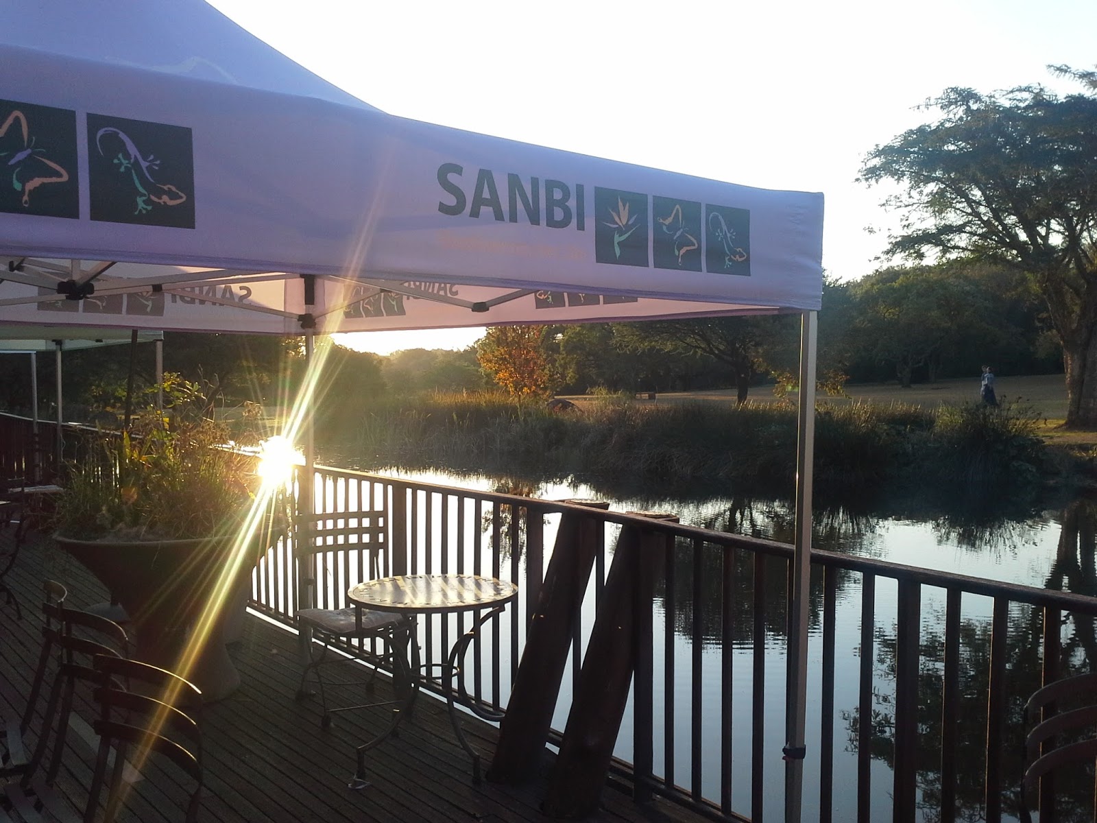 Go with Henry Sunset tea at the Pretoria Botanical gardens