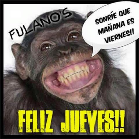 Imagenes De Viernes Risa | im 225 genes de risa sonr 237 e que ma 241 ana es viernes imagenes Imagenes De Viernes Risa | im 225 genes de risa sonr 237 e que ma 241 ana es viernes imagenes