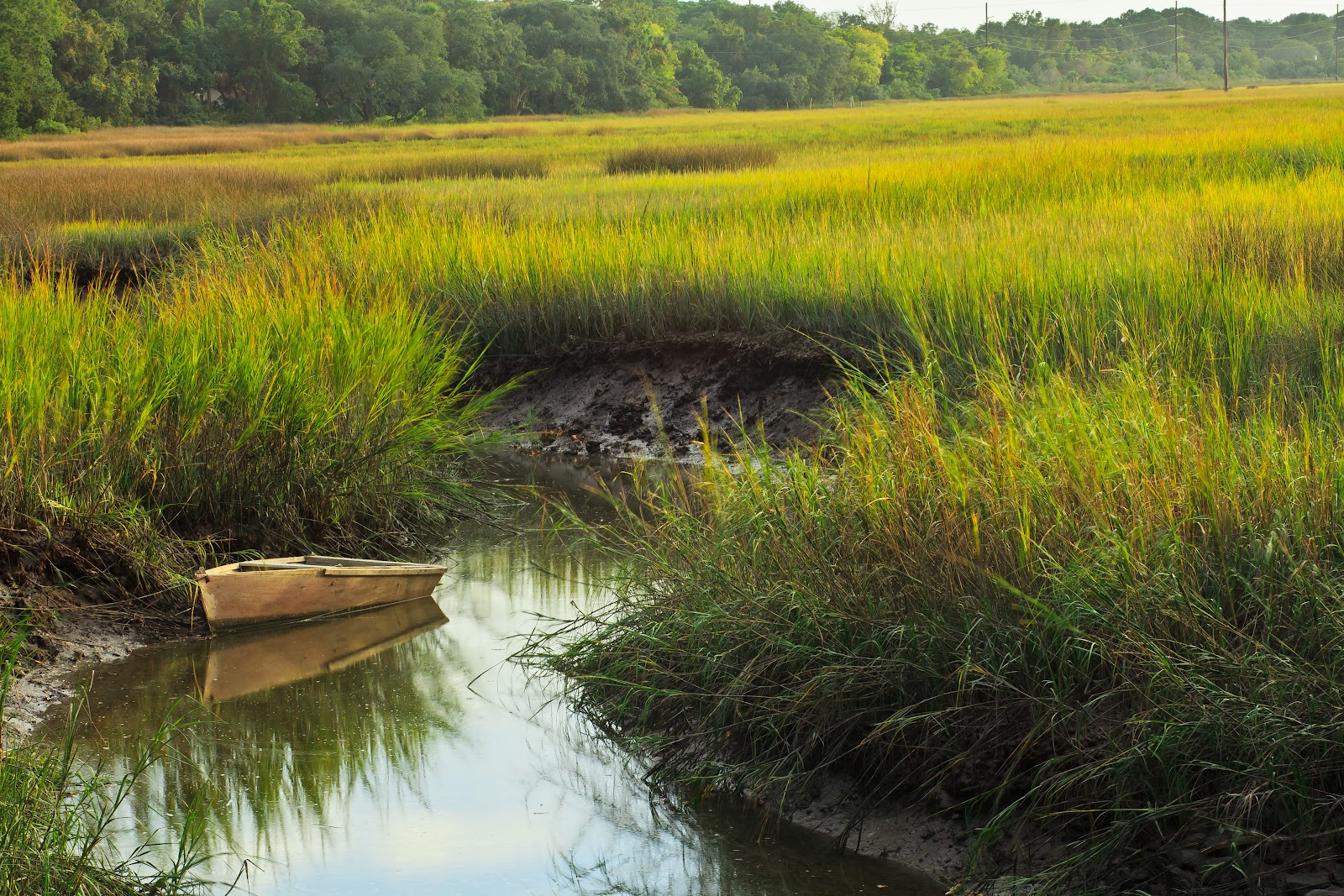 Lincoln's Domain The Salt Marsh of HIlton Head Island