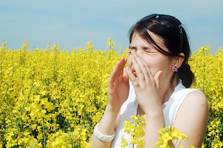 How Do I Know If I Have A Ragweed Allergy? - Myadran.Info